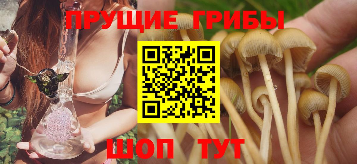 Псилоцибиновые грибы Psilocybine cubensis Кушва